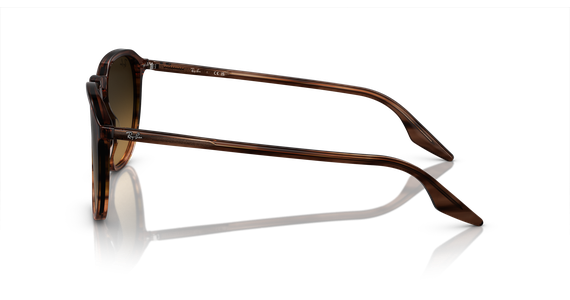 Ray-Ban RB2203 13920A - Mening 4