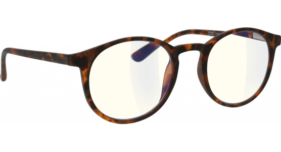 4read CONCEPT Paris BlueControl 1,0 Dioptrien  - Ansicht 5