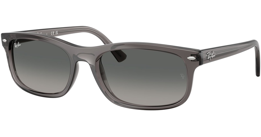  Ray-Ban RB2224 667571 Ansicht 1