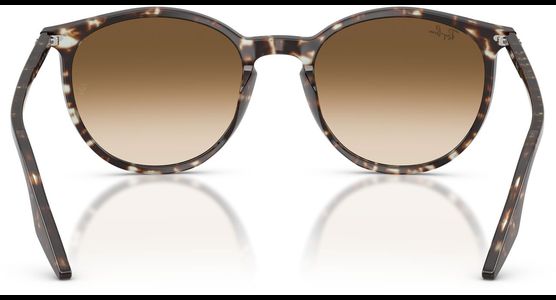 Ray-Ban RB2204 143151 51 - Mening 5