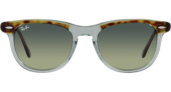 Ray-Ban Eagle Eye RB2398 1376BH - Ansicht 13