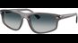 Ray-Ban RB2225 667532
