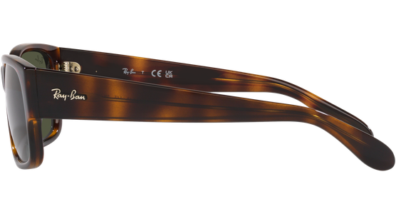 Ray-Ban RB4388 710/31 - Mening 4