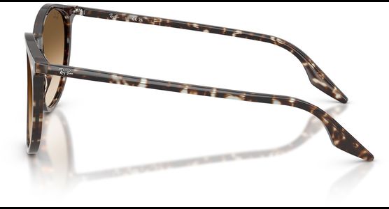 Ray-Ban RB2204 143151 51 - Mening 4