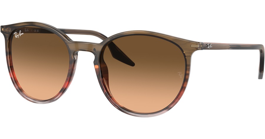 Ray-Ban Sonnenbrille Unisex Ray-Ban RB2204 13953B Mening 1