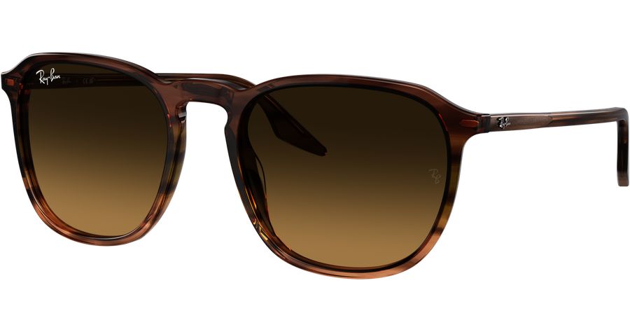 Ray-Ban Sonnenbrille Unisex Ray-Ban RB2203 13920A Mening 1