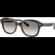 Ray-Ban Erik 0RB4398 140432