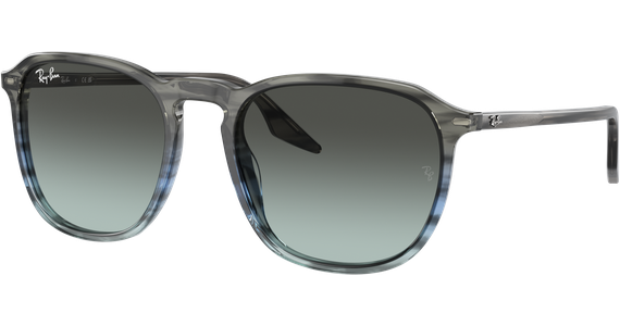 Ray-Ban RB2203 1391GK - Mening 2