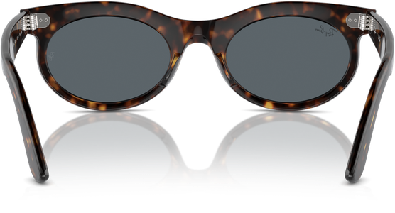 Ray-Ban 0RB2242 902/R5 - Ansicht 5