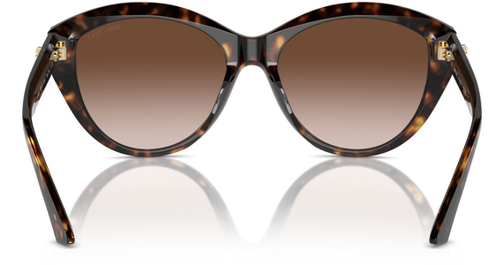 Jimmy Choo JC5007 500213 55 - Mening 5