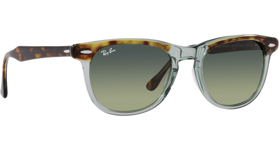 Ray-Ban Eagle Eye RB2398 1376BH - Ansicht 12