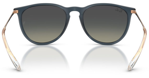Ray-Ban Erika Classic RB4171 681311 - Mening 5