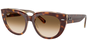 Ray-Ban 0RB2286 141451