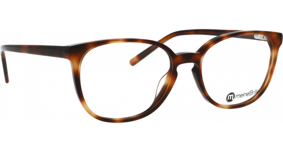 meineBrille 04-20170-01, Havanna Schräg rechts - Ansicht 5