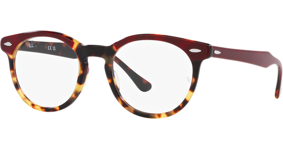 Ray-Ban RX5598 8250 - Mening 2