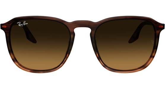 Ray-Ban RB2203 13920A - Mening 3