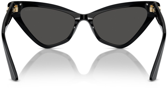 Jimmy Choo JC5008 500087 55 - Mening 5