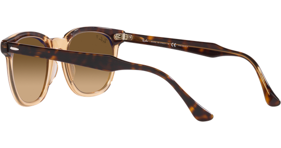 Ray-Ban Hawkeye RB2298 1292M2 - Mening 5