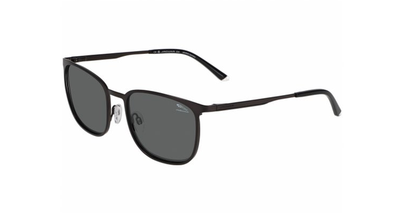Jaguar 37505 4200 - Mening 2