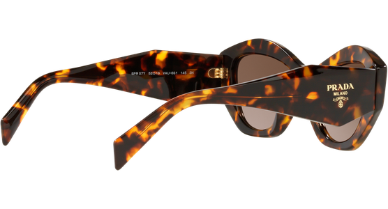 Prada PR 07YS VAU6S1 - Mening 9