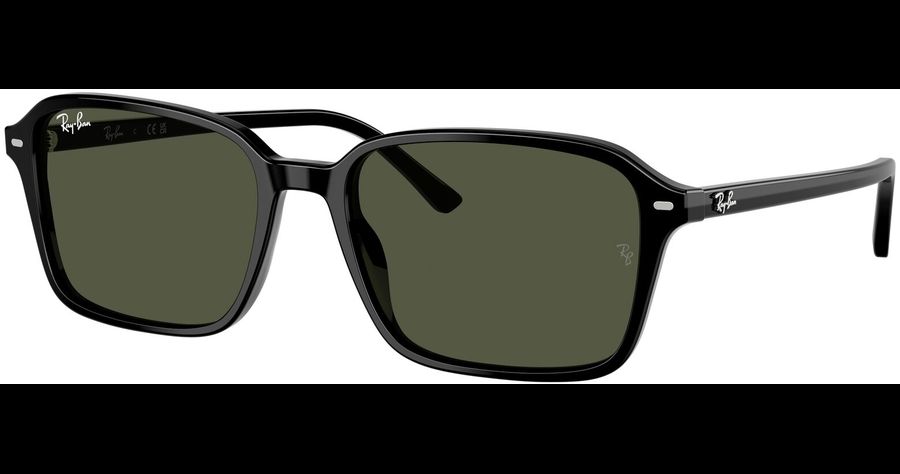 Ray-Ban Sonnenbrille Unisex Ray-Ban 0RB2231 901/31 Ansicht 1