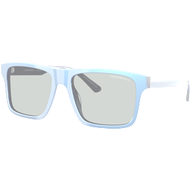 Emporio Armani Sonnenbrille Herren Emporio Armani EA4232 617587 57