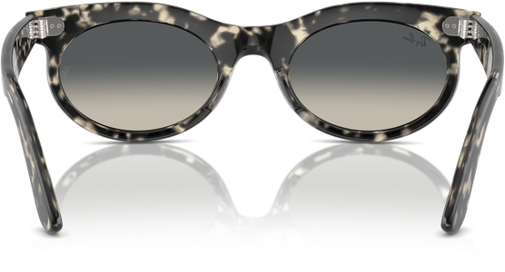 Ray-Ban 0RB2242 133371 - Ansicht 5