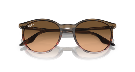 Ray-Ban RB2204 13953B - Mening 6