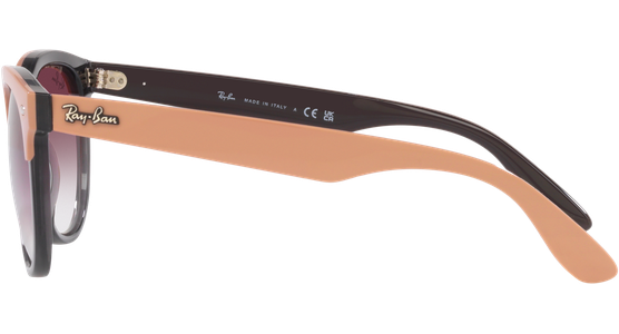 Ray-Ban Iris RB4471 66338H - Ansicht 4