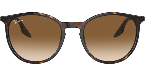 Ray-Ban 0RB2204 902/51 - Mening 3