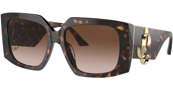 Jimmy Choo JC5006U 500213 55 - Mening 2