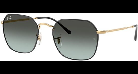 Ray-Ban Jim 0RB3694 9271GK - Mening 2