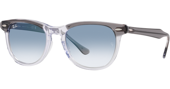 Ray-Ban Eagle Eye RB2398 13553F - Mening 2