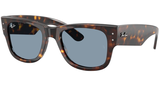 Ray-Ban Mega Wayfarer RB0840S 902/56 51 - Mening 2