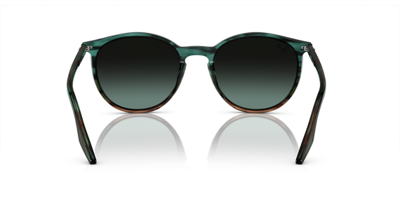 Ray-Ban RB2204 1394GK - Mening 5