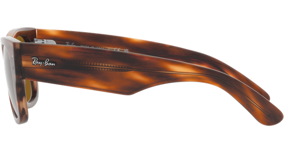 Ray-Ban Mega Wayfarer RB0840S 954/33 - Mening 4