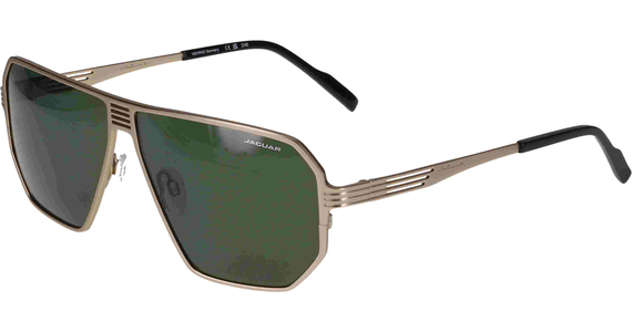 Jaguar 37824 62 8200 - Mening 2