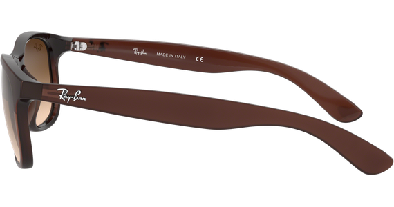 Ray-Ban Andy RB4202 606971 55 - Mening 5
