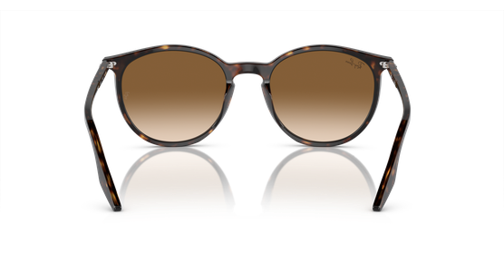 Ray-Ban 0RB2204 902/51 - Mening 5