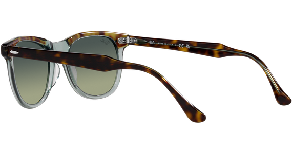Ray-Ban Eagle Eye RB2398 1376BH - Mening 5