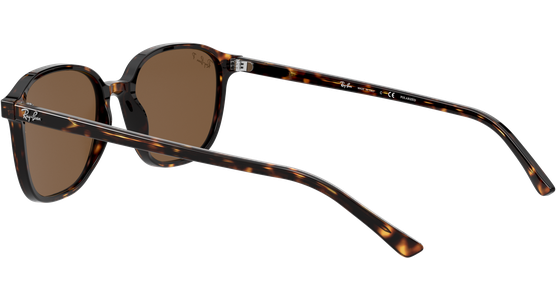 Ray-Ban Leonard RB2193 902/57 - Ansicht 5