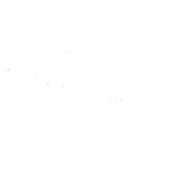 Saint Laurent Brille Unisex Saint Laurent SL 726/F 53 003