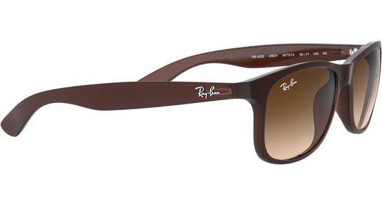 Ray-Ban Andy RB4202 606971 55 - Ansicht 15