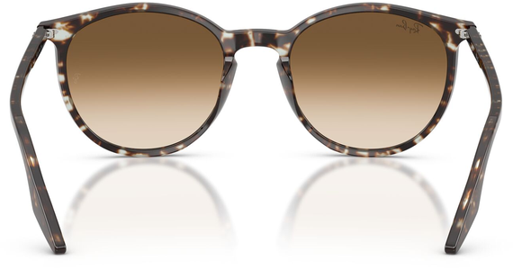 Ray-Ban RB2204 143151 - Mening 5