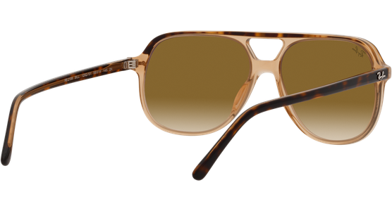 Ray-Ban Bill RB2198 129251 - Mening 8