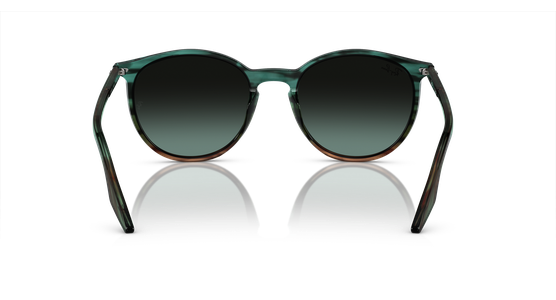 Ray-Ban RB2204 1394GK - Mening 5