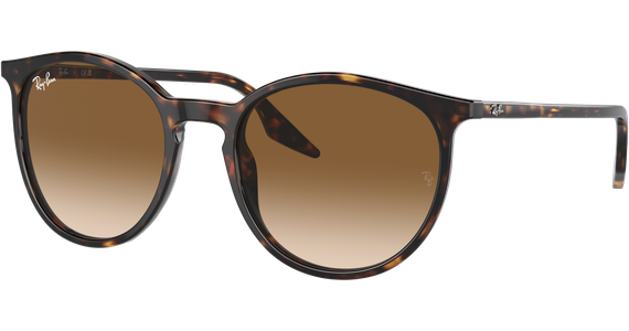 Ray-Ban 0RB2204 902/51 - Mening 2