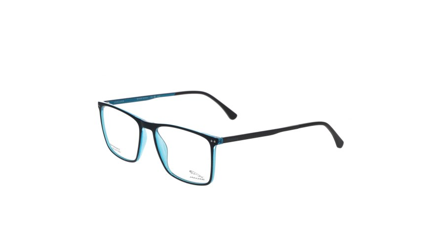 Jaguar Brille Herren Jaguar 36822 55 3100 Mening 1