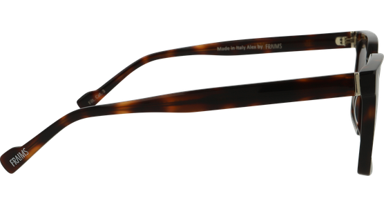 FRAIMS 13-58110-01 Alex - Mening 4