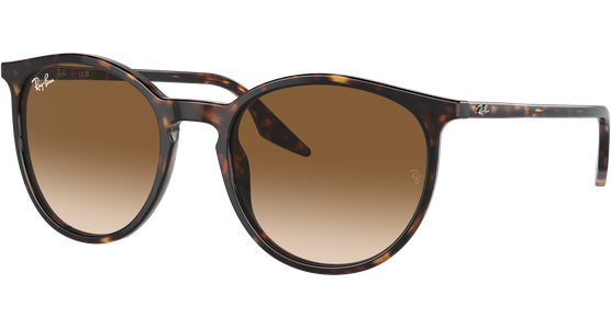 Ray-Ban 0RB2204 902/51 - Mening 2